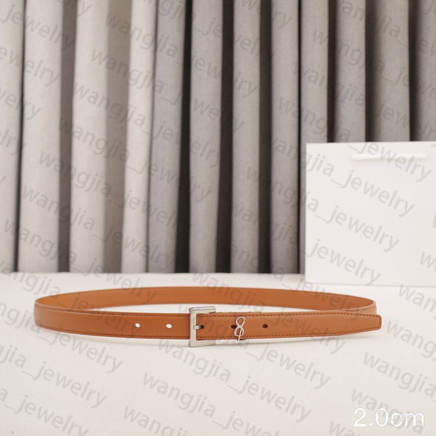Womens Designer Belt Genuine Leather Belts for Women 2.0/3.0cm Width Leisure Needle Buckle Models Optional Lady Waistband Luxury Waist Girdle 90-115cm Length - 8 of 8
