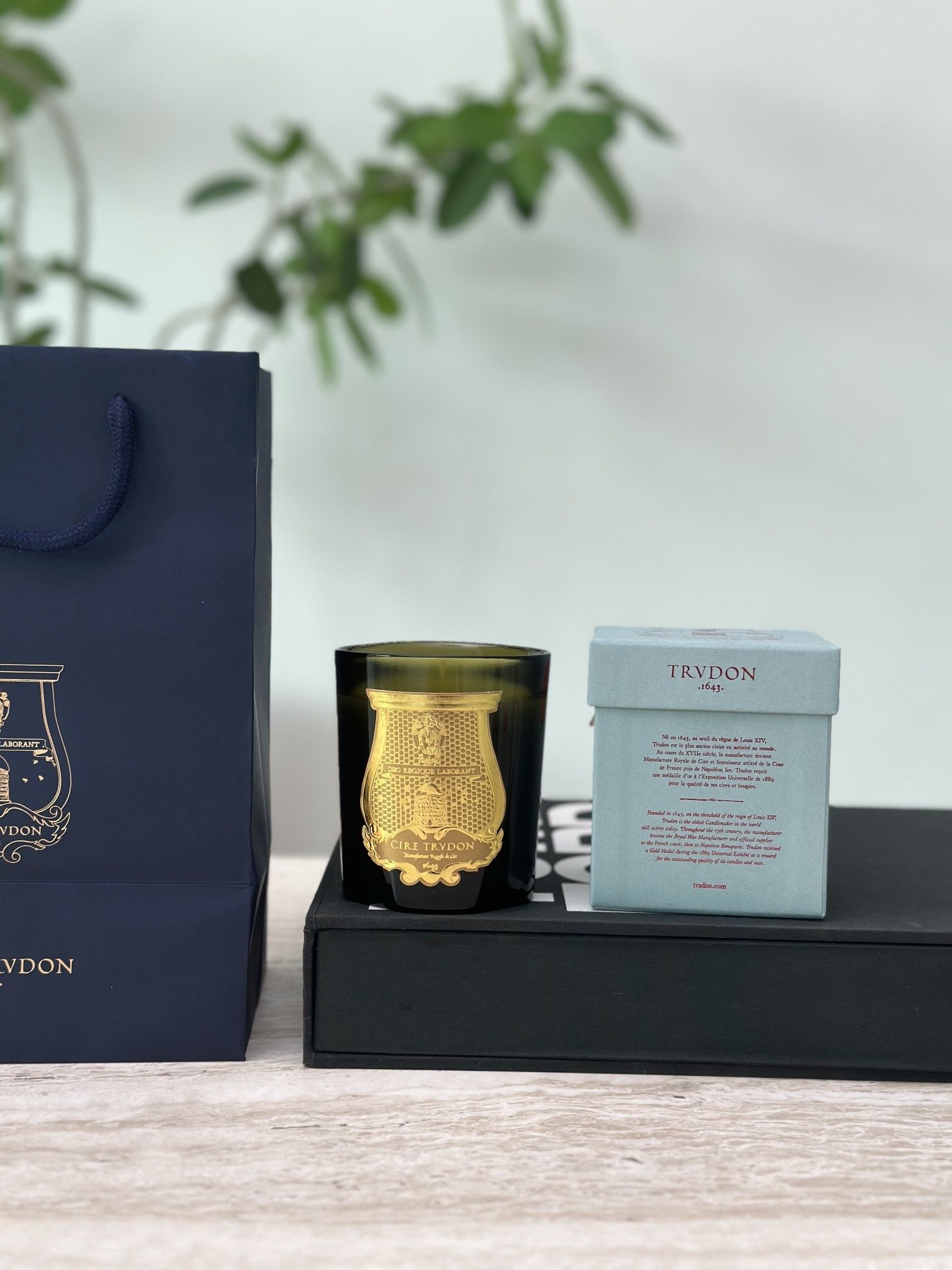 Cire Trudon cup scented candle Home plaster aromatherapy decoration 270gSoy wax Fragrance cup Candles not included - 3 of 3