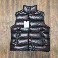 Vest Stand Collar