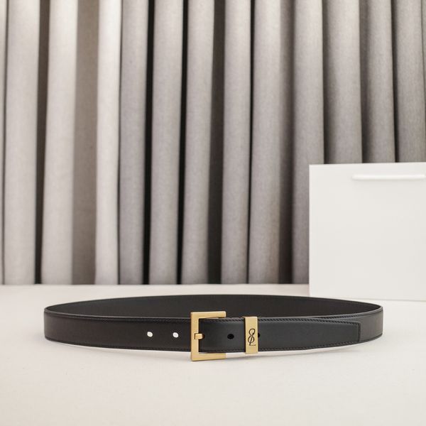 Womens Designer Belt Genuine Leather Belts for Women 2.0/3.0cm Width Leisure Needle Buckle Models Optional Lady Waistband Luxury Waist Girdle 90-115cm Length - Fashion Accessories - denook